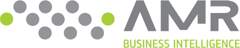 Logo AMR Business Intelligence